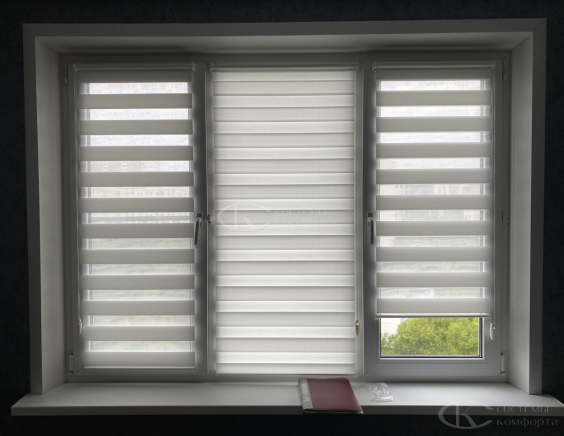 Жалюзи День-Ночь