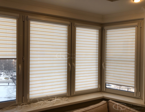 Жалюзи День-Ночь