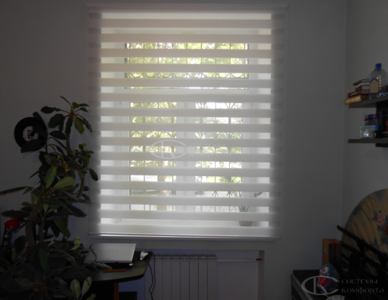 Жалюзи День-Ночь