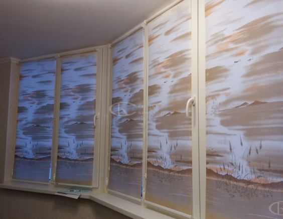 Портфолио свободновисящие рулонные шторы