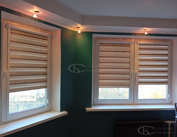 Жалюзи День-Ночь