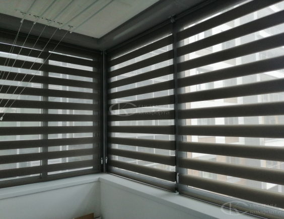 Жалюзи День-Ночь