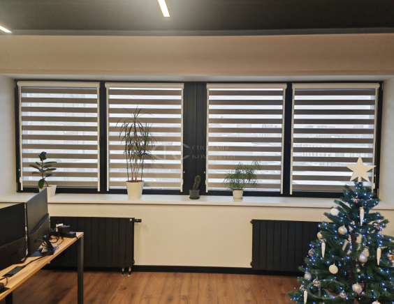 Жалюзи День-Ночь