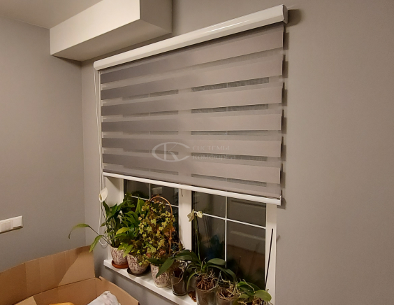 Жалюзи День-Ночь