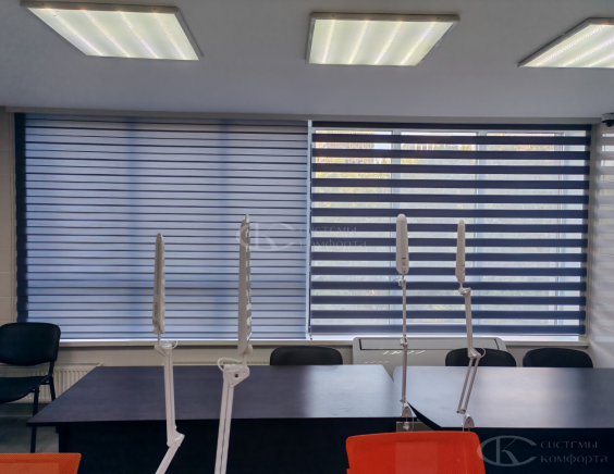 Жалюзи День-Ночь